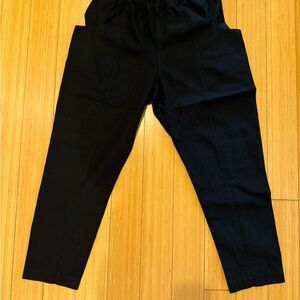 Elizabeth Suzann Clyde Cotton Canvas Pants